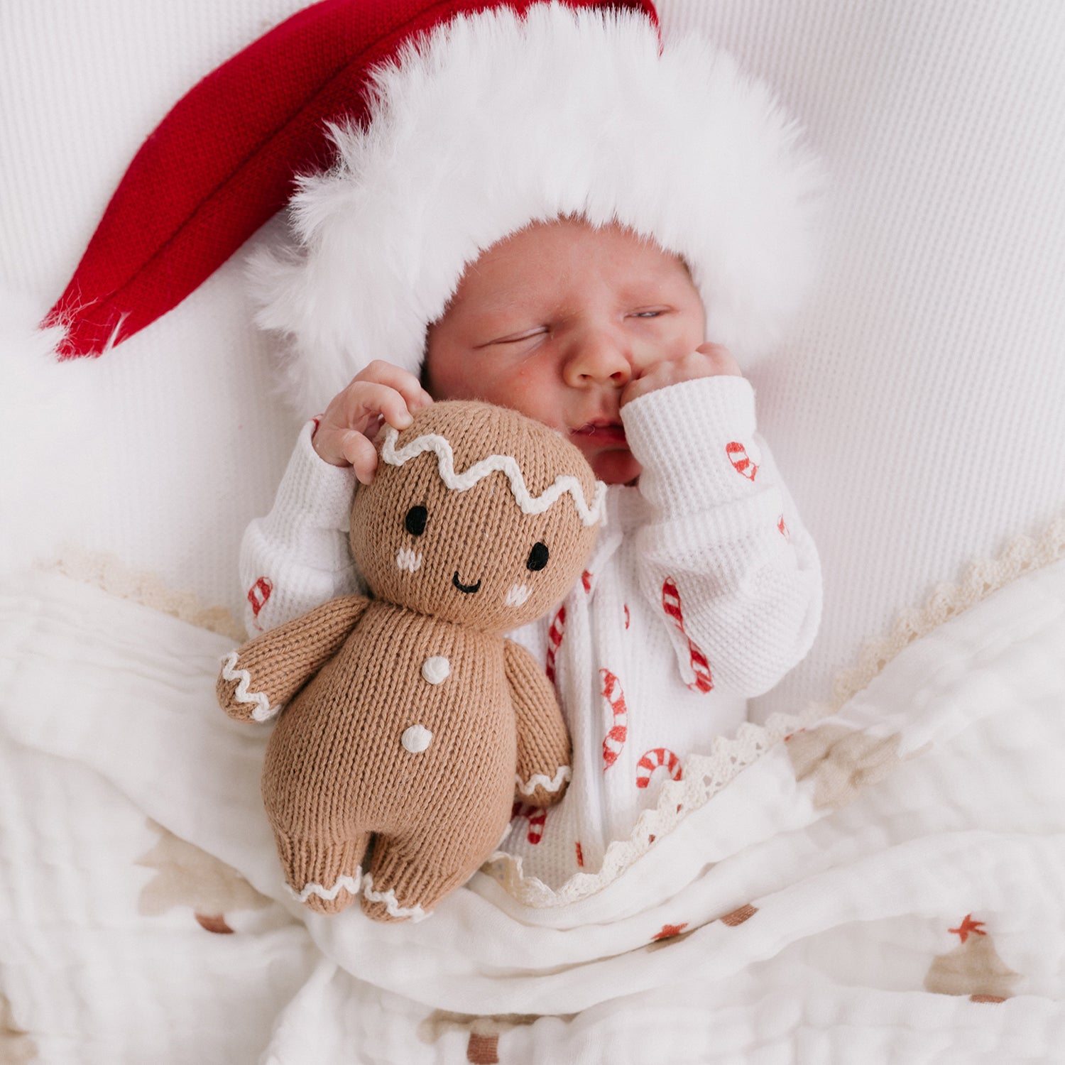 baby gingerbread cuddle and kind Christmas